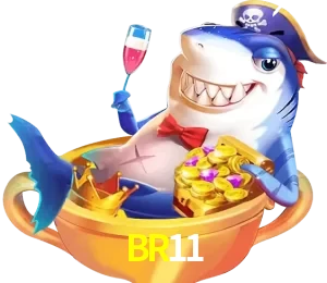 BR11